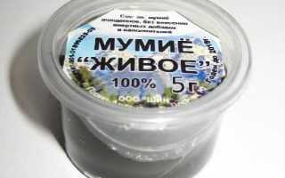 Мумие от прыщей на лице: полезные свойства и действенные рецепты