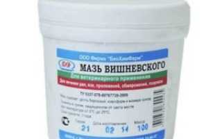 Как нужно использовать мазь Вишневского от прыщей на лице